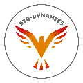 STO-DYNAMICS